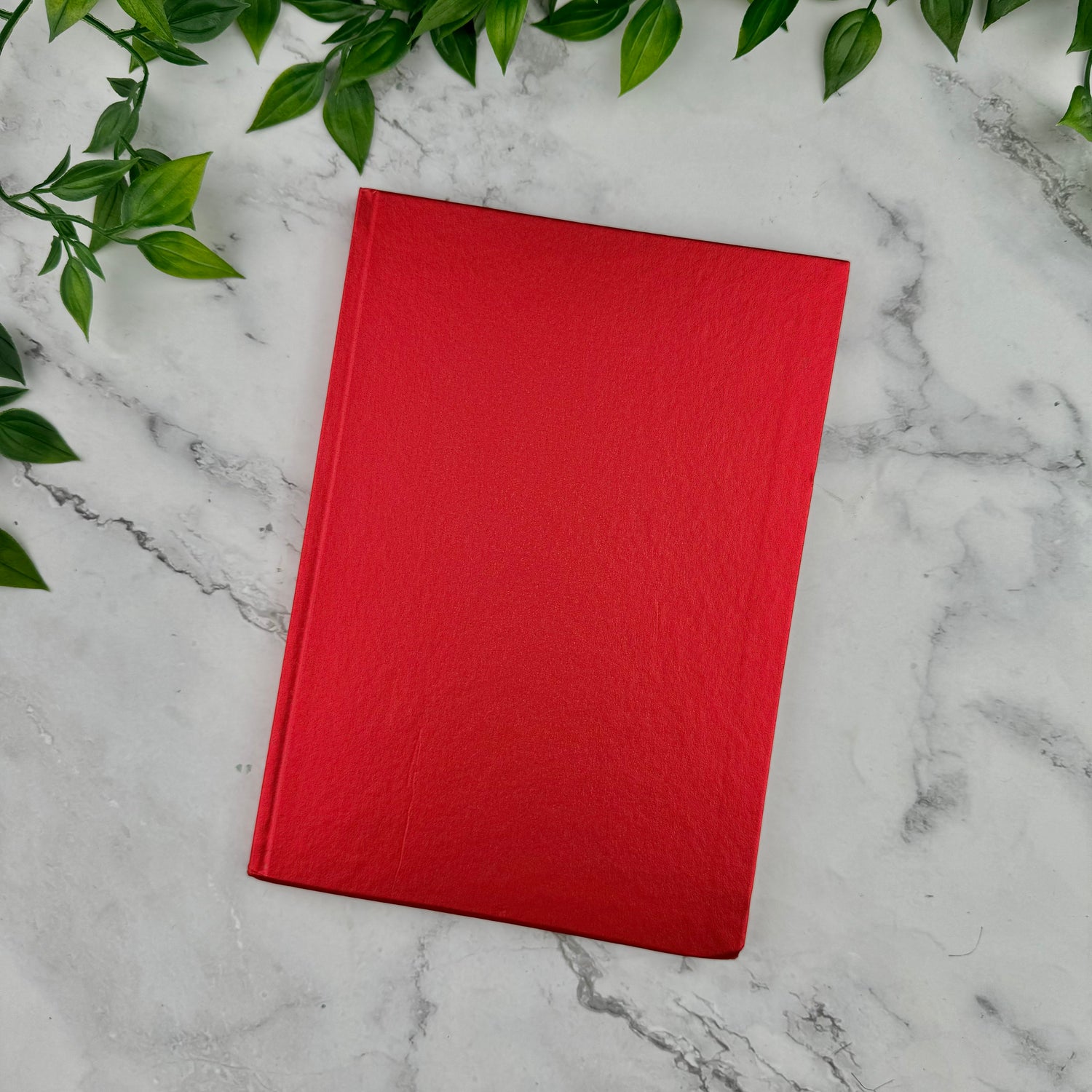 Caran d'Ache COLORMAT-X Notebook - Ruled