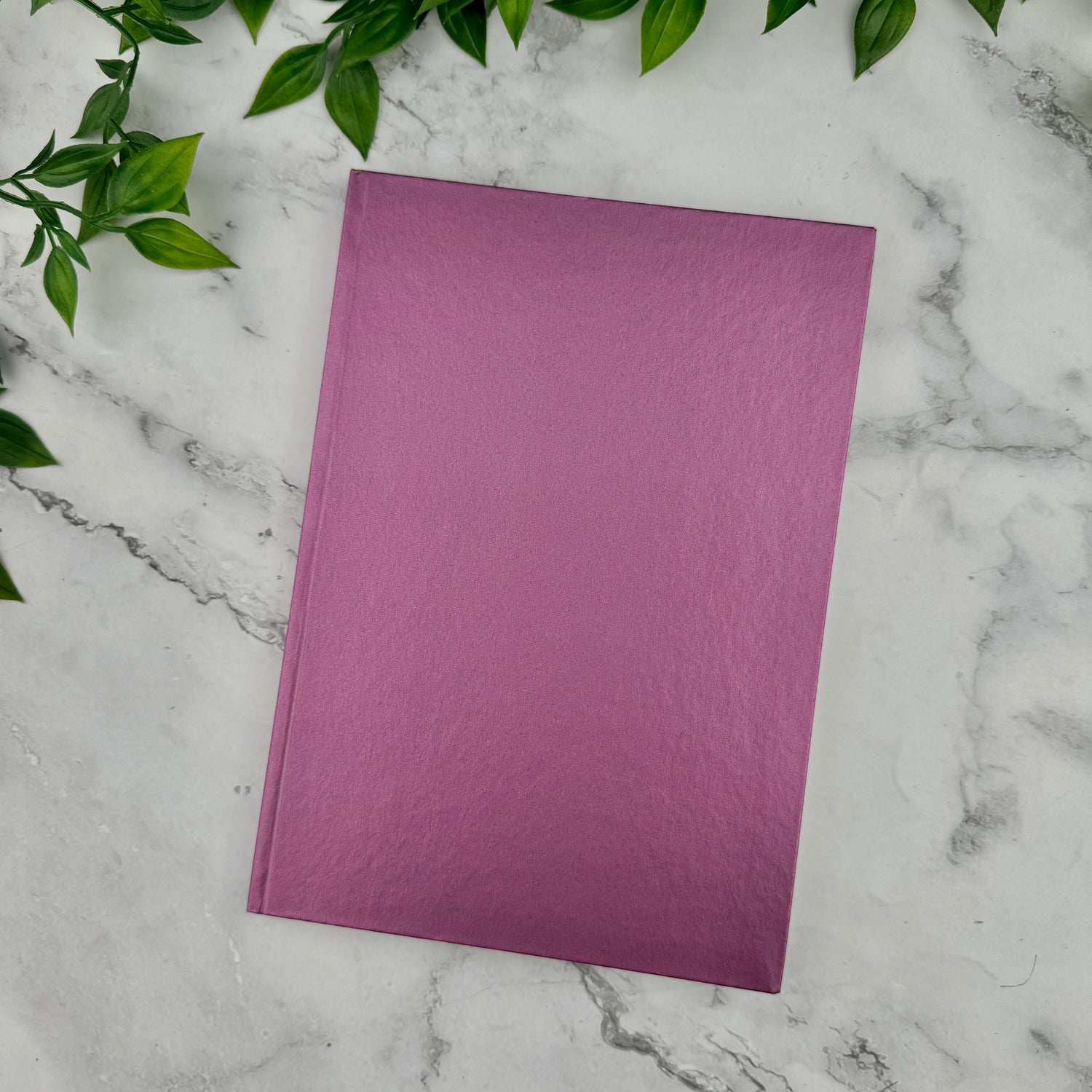 Caran d'Ache COLORMAT-X Notebook - Ruled