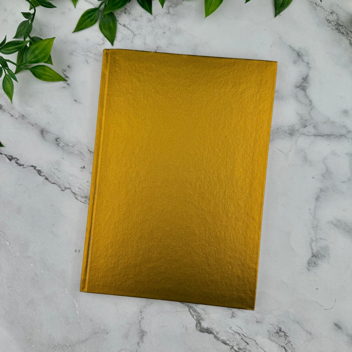 Caran d'Ache COLORMAT-X Notebook - Ruled