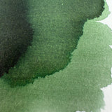 Colorverse 15ml Korea Special Bottled Ink - Boxwood