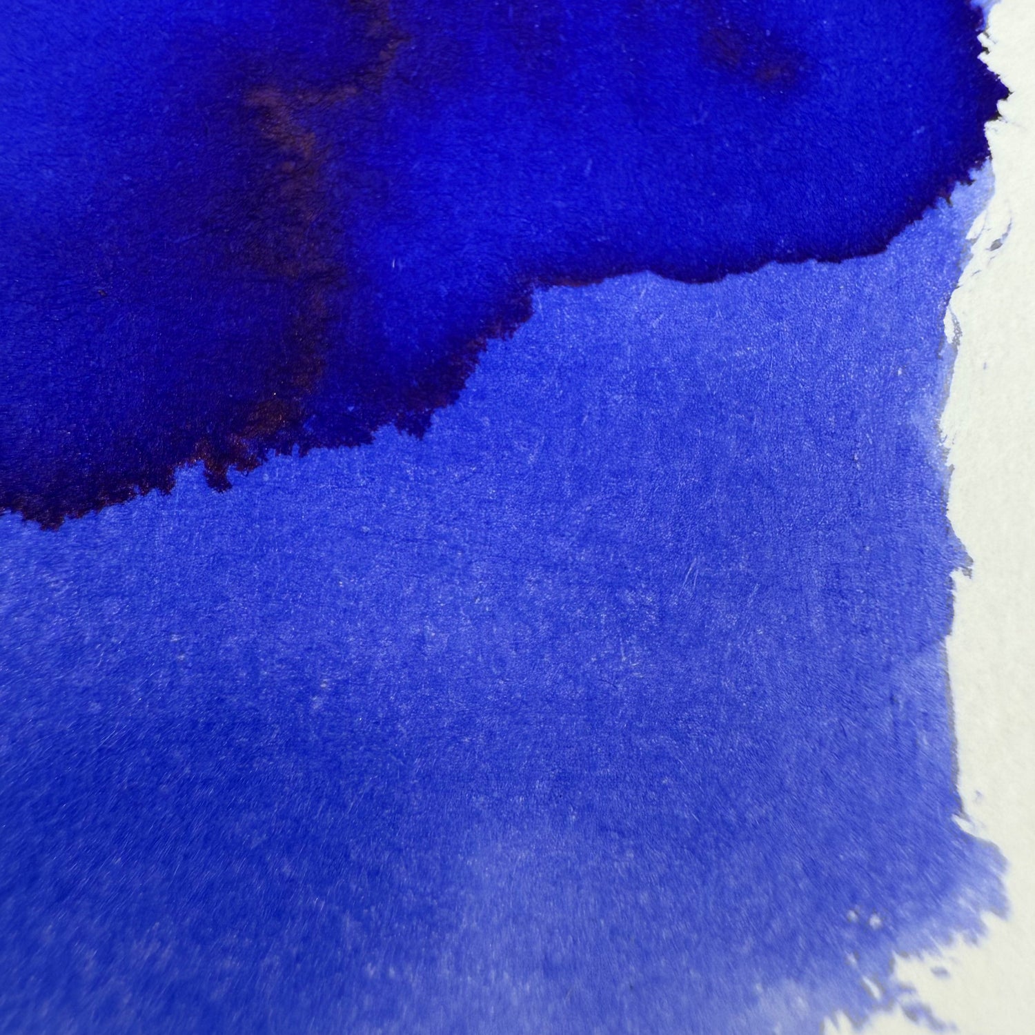Colorverse 15ml Korea Special Bottled Ink - Asiatic Dayflower