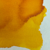 Colorverse 15ml Korea Special Bottled Ink - Forsythia