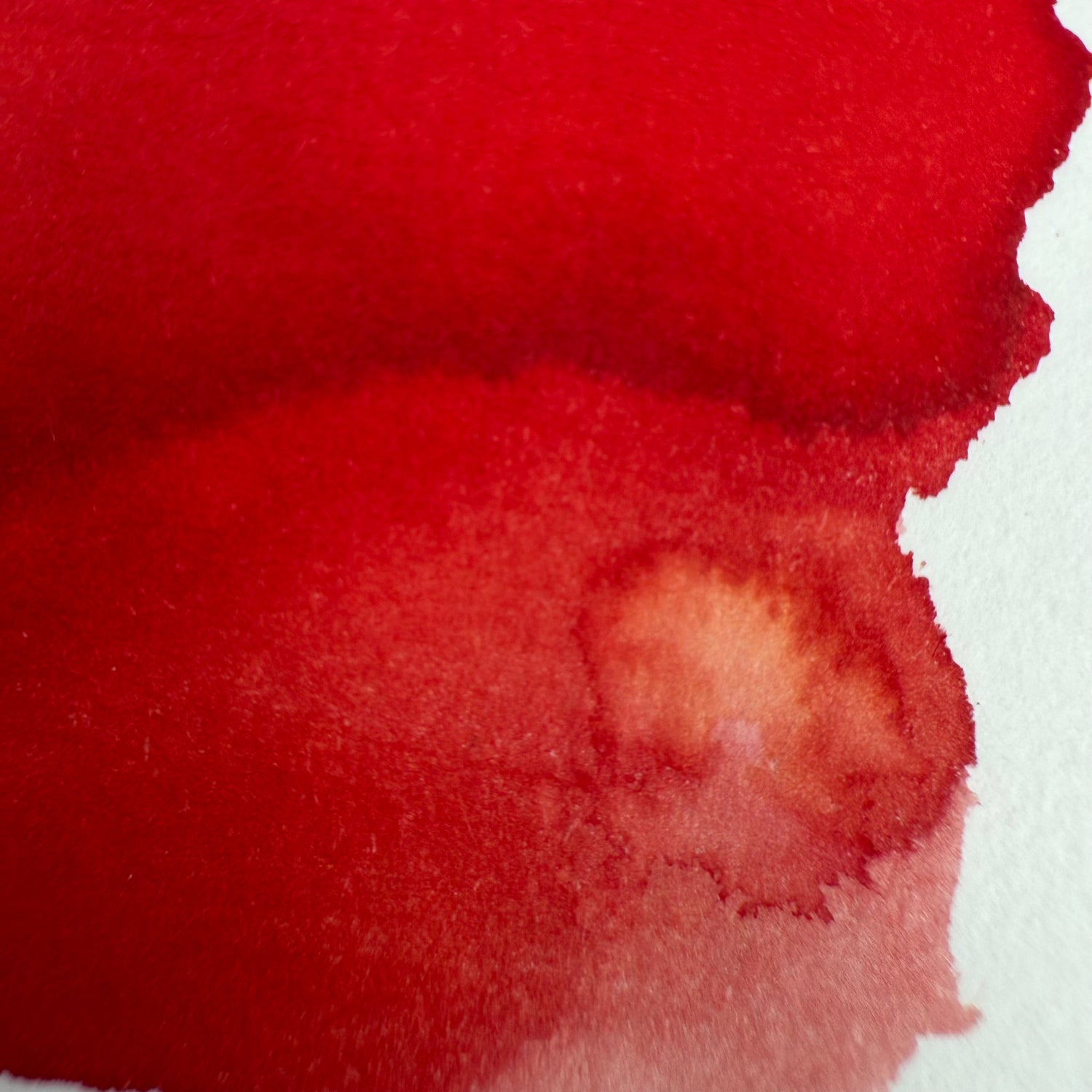 Colorverse 15ml Korea Special Bottled Ink - Korean Blueberry