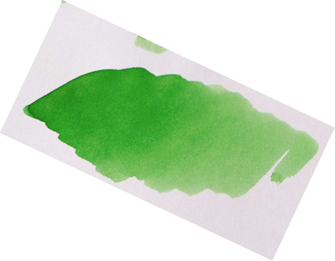 Colorverse Green Pea Galaxy - 40ml Bottled Ink - Ink Swab