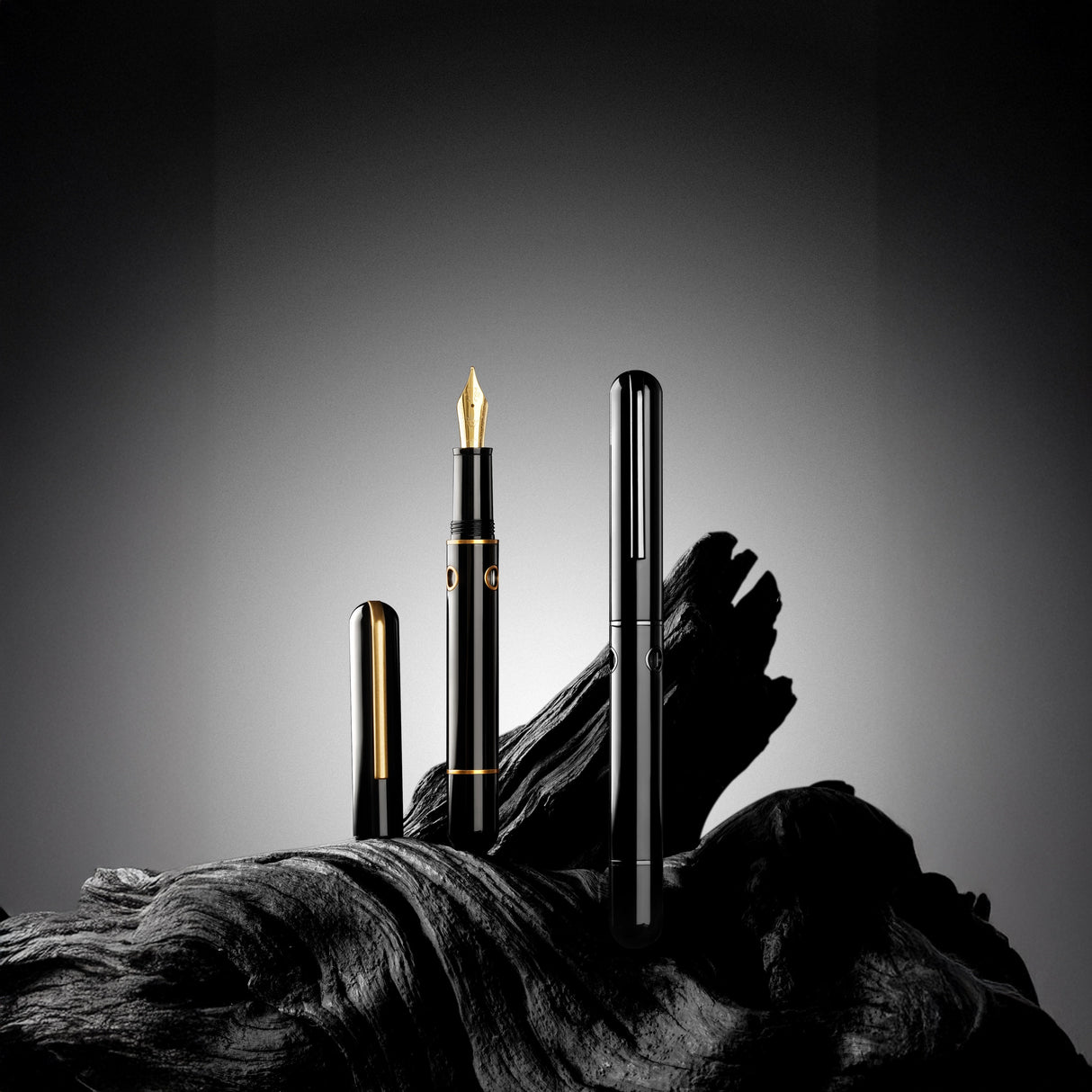 Nahvalur (Narwhal) Nautilus Fountain Pen - Bronze Corydoras