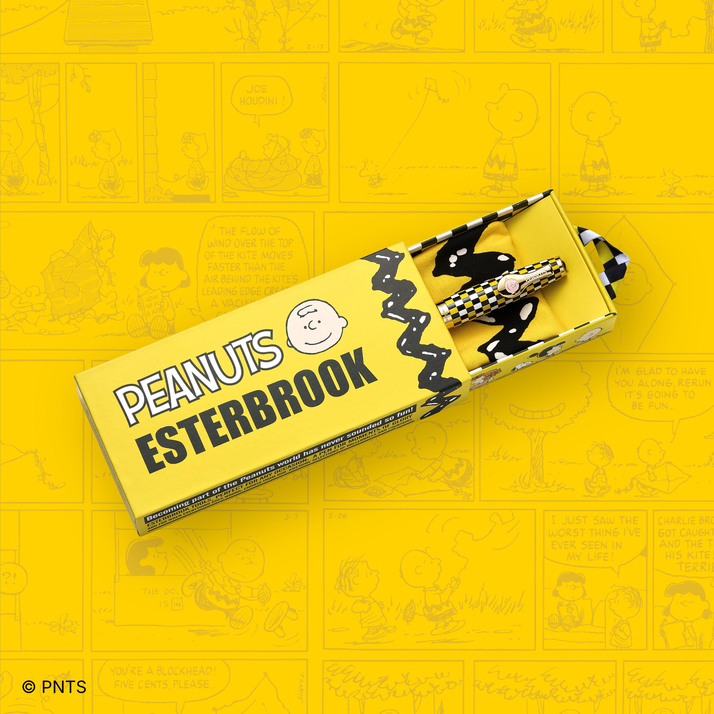 Esterbrook x Peanuts Fountain Pen - Charlie Brown - 75th