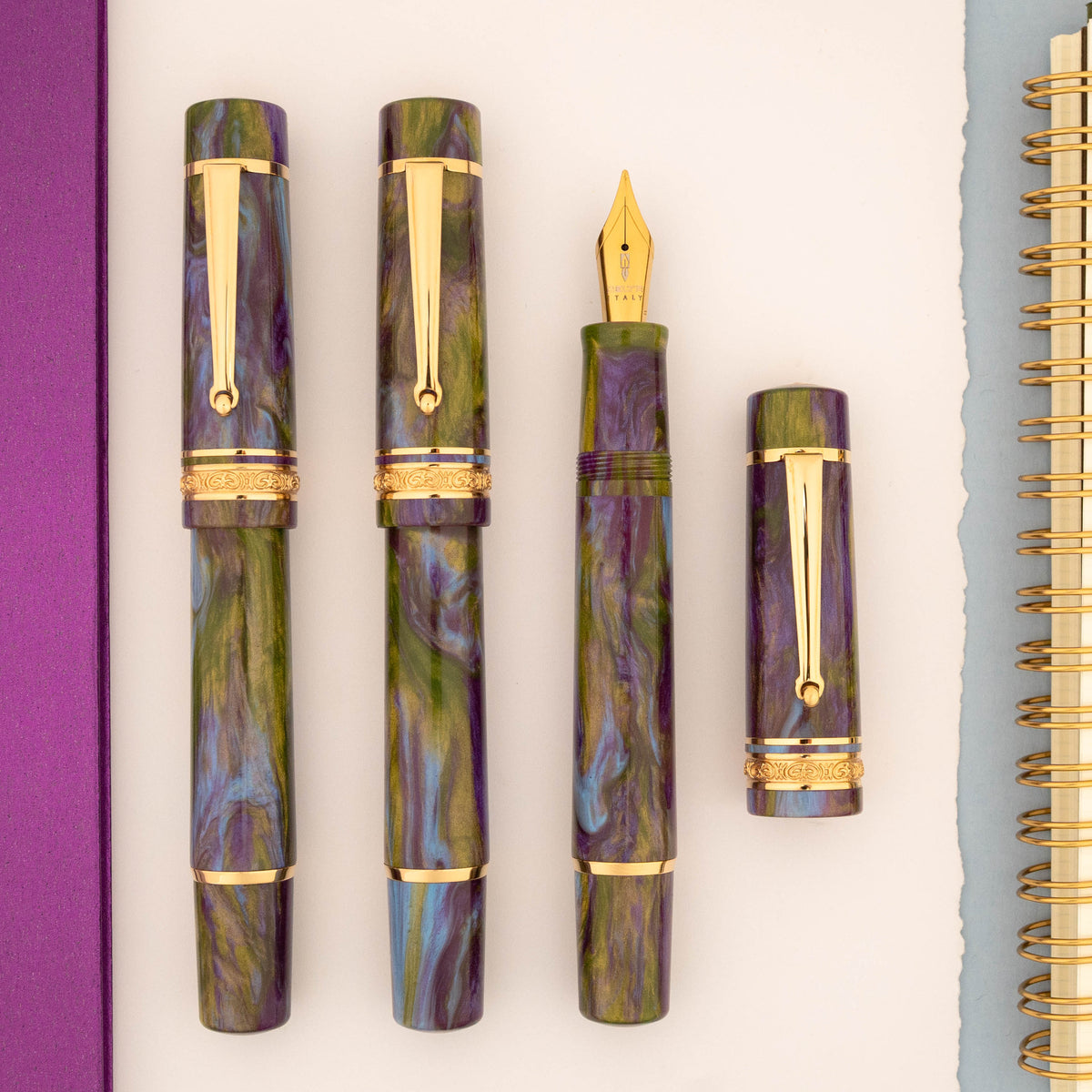 Delta DV Midsize Fountain Pen - Wisteria Walk w/ Yellow Gold Trim (Limited Edition)