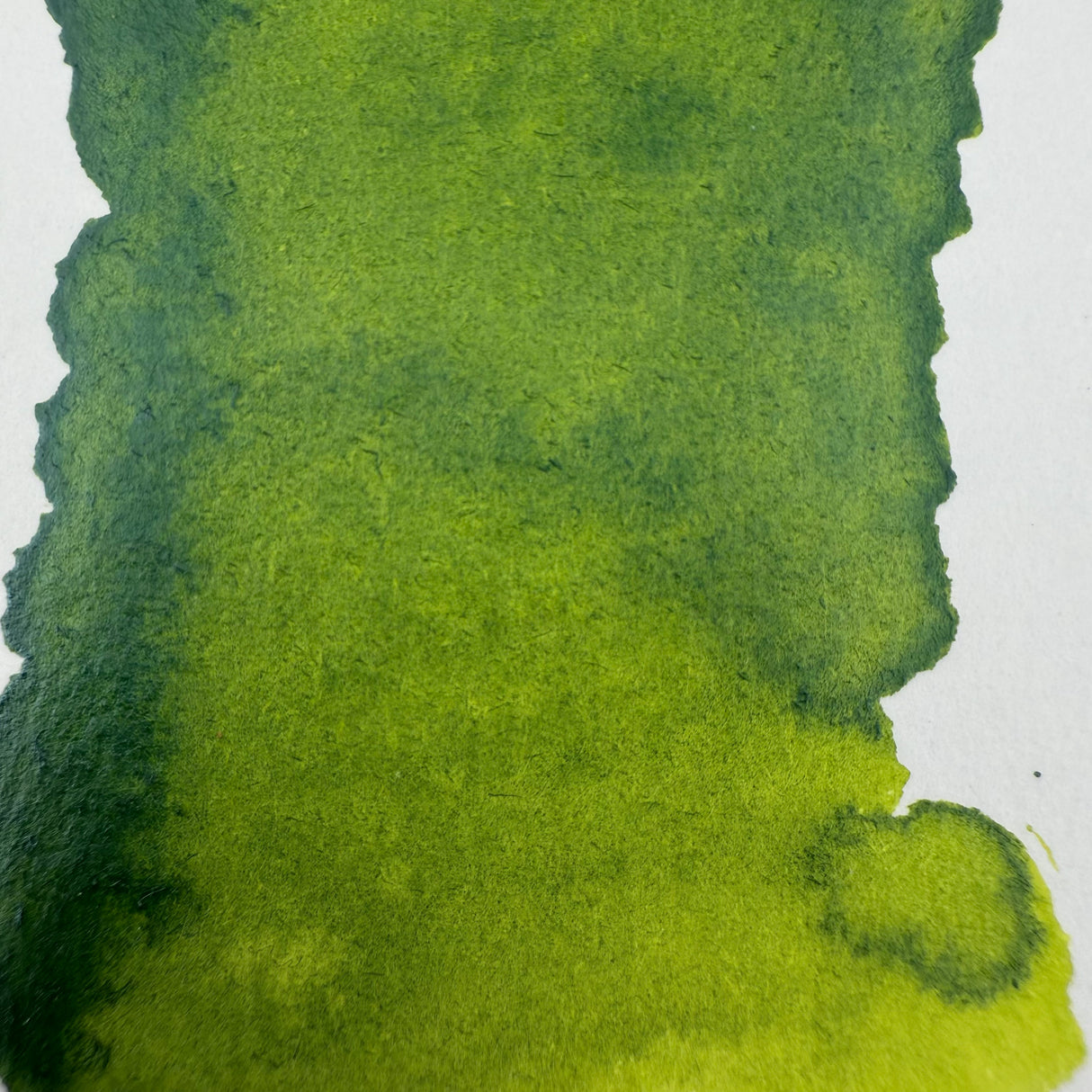 Diamine Forever Ink Hyper Green - 50ml Bottled Ink