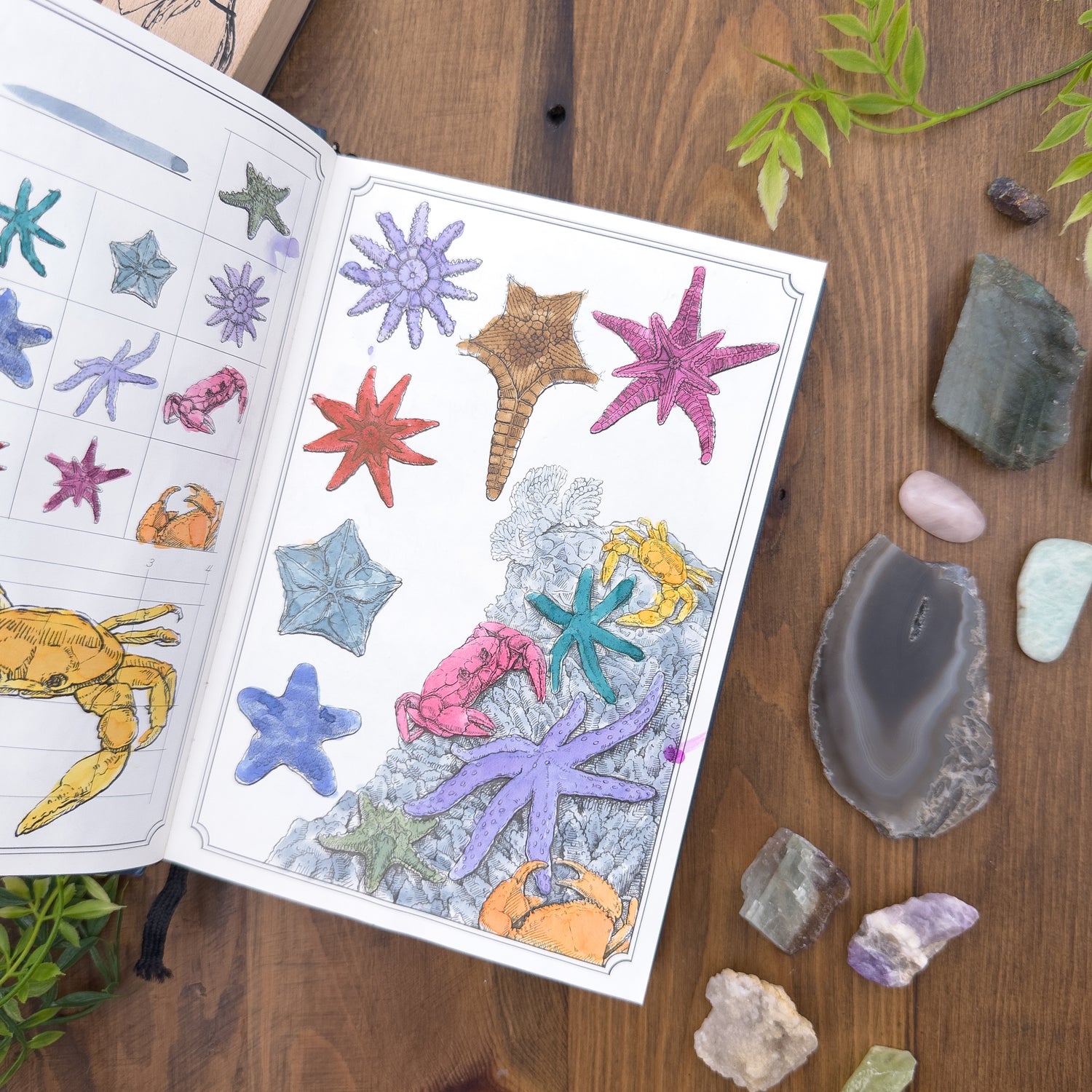 Dominant Industry Ink Archiving Book - A Log of Atlantis