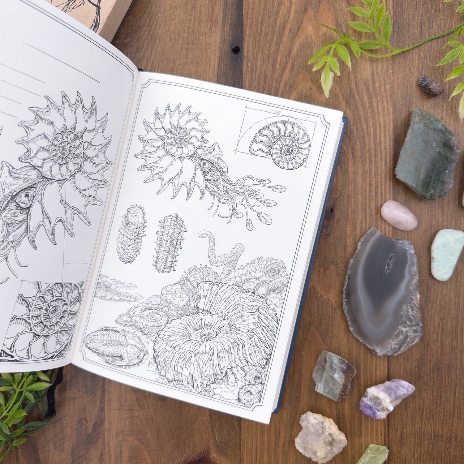 Dominant Industry Ink Archiving Book - A Log of Atlantis