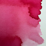 Dominant Industry Pink Robin - 25ml Bottled Ink