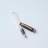 Sailor Pro Gear Slim - Black Rose (Special Edition)