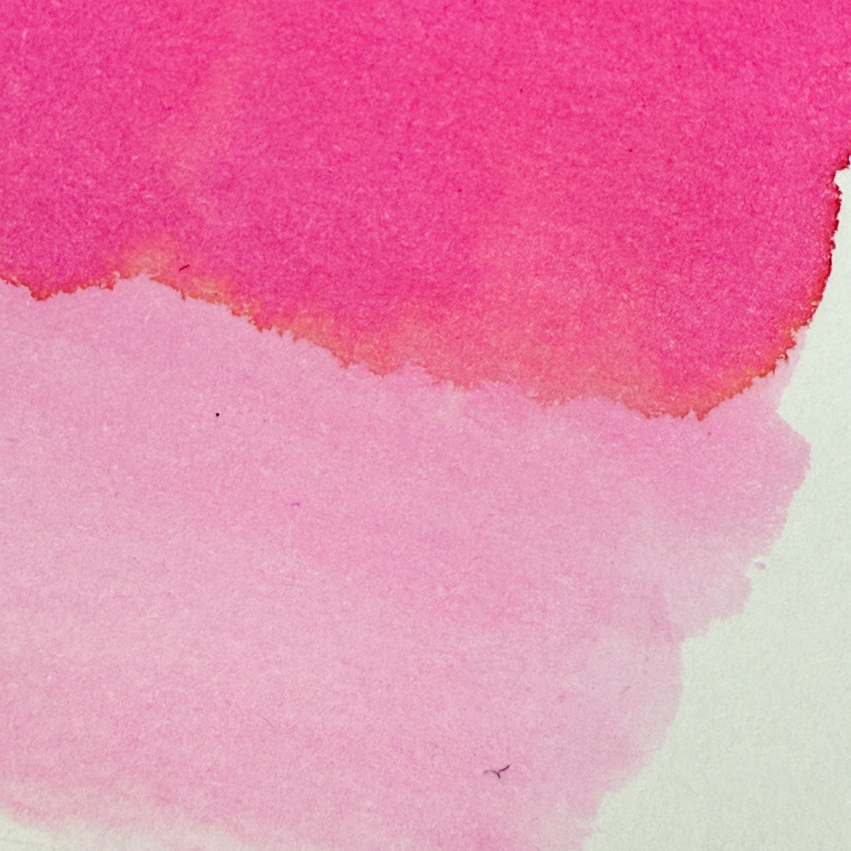 Esterbrook x BUNGUBOX Kachofugetsu Flower Pink - Bottled Ink (Special Edition)