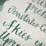 Ferris Wheel Press Bestiary Series - Skies of Uproar - 20ml Bottled Ink (Special Edition)