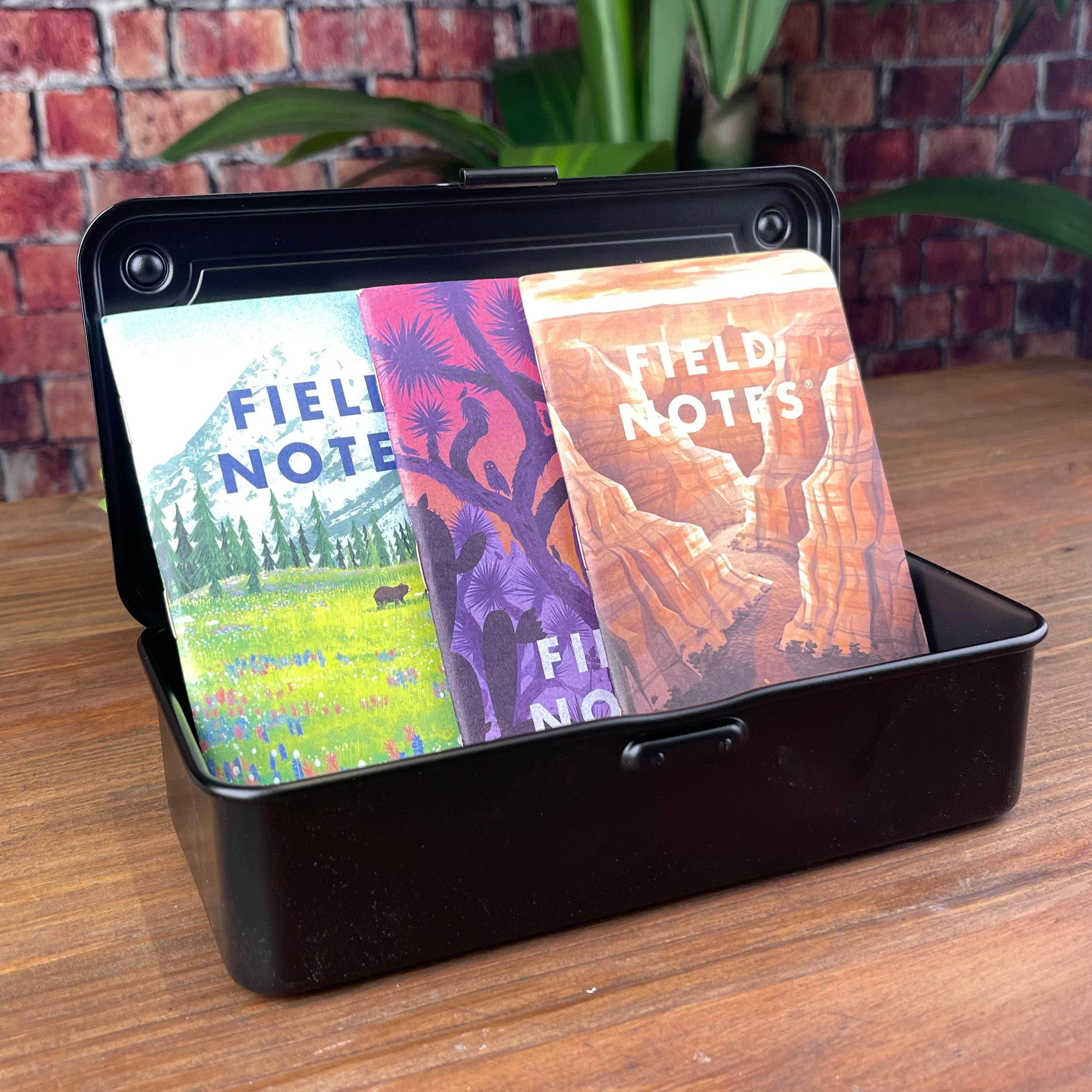 Field Notes National Parks Series B – Atlas Stationers