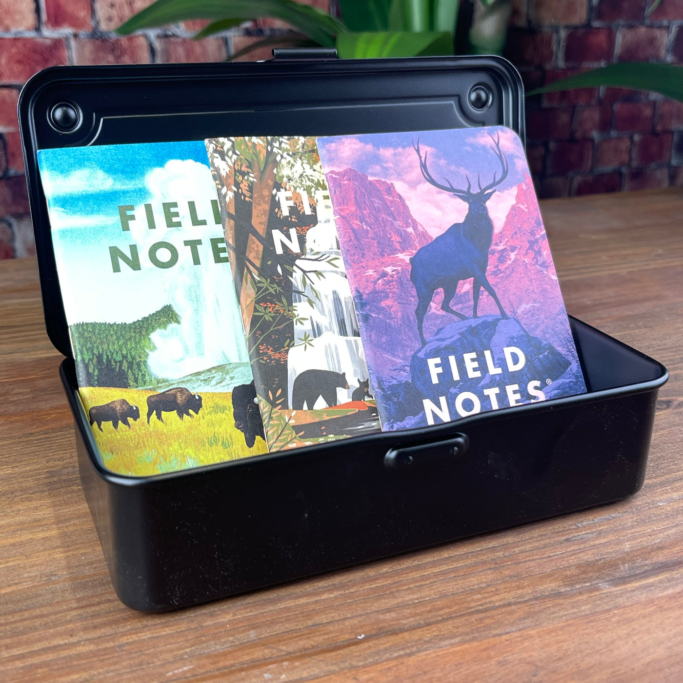 Field Notes National Parks Series C