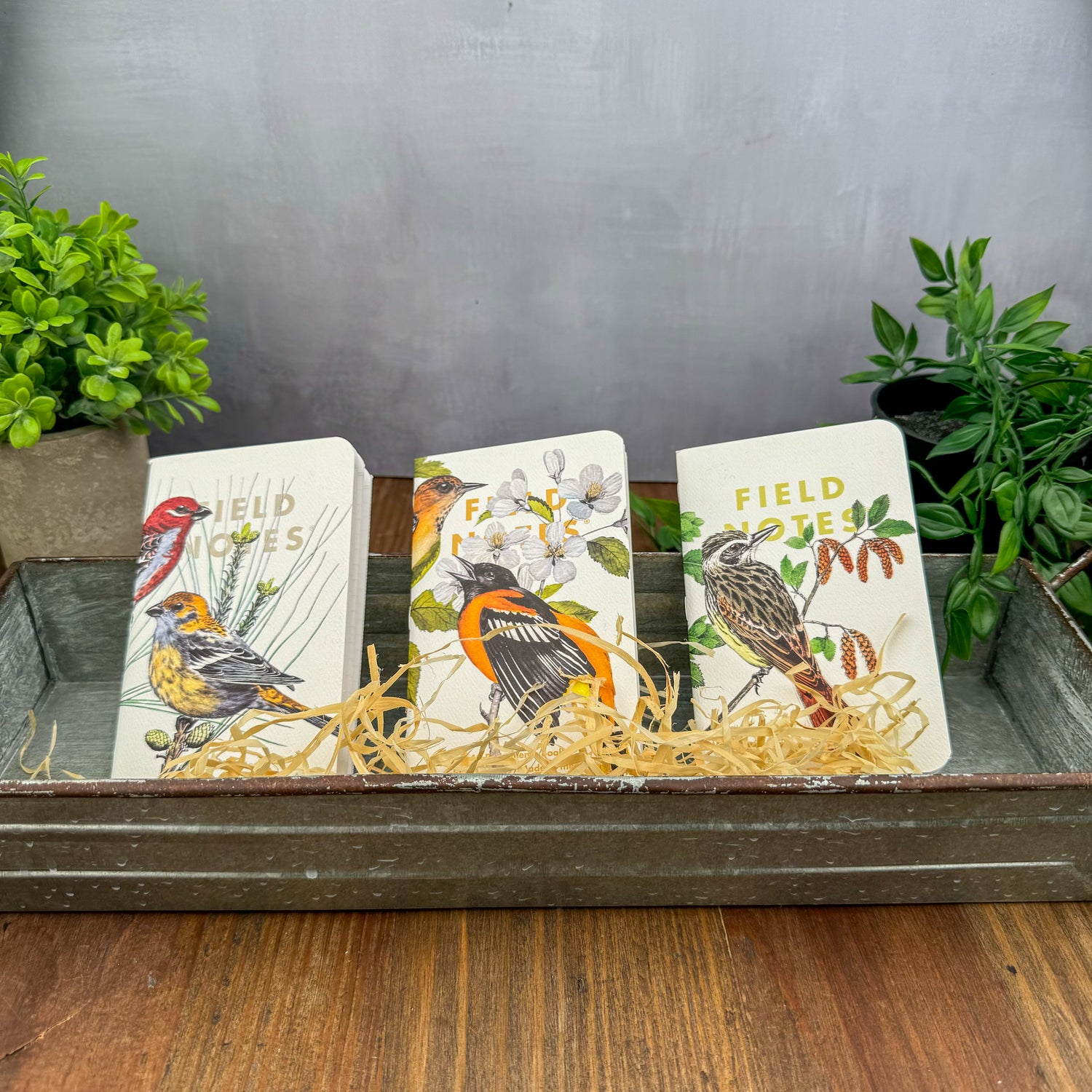 Field Notes Quarterly Edition - Birds and Trees of North America - Pack B (Special Edition)