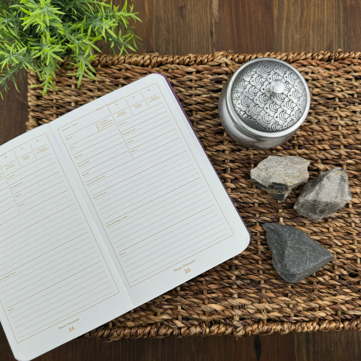 Field Notes 5E Game Master Journal