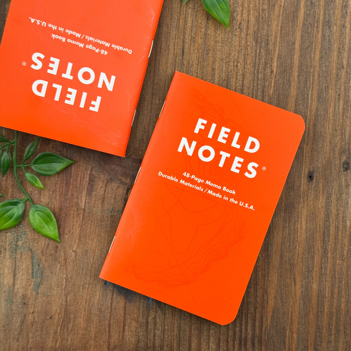 Field Notes - Expedition