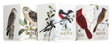 field-notes-quarterly-birds-and-trees-notebook-pack