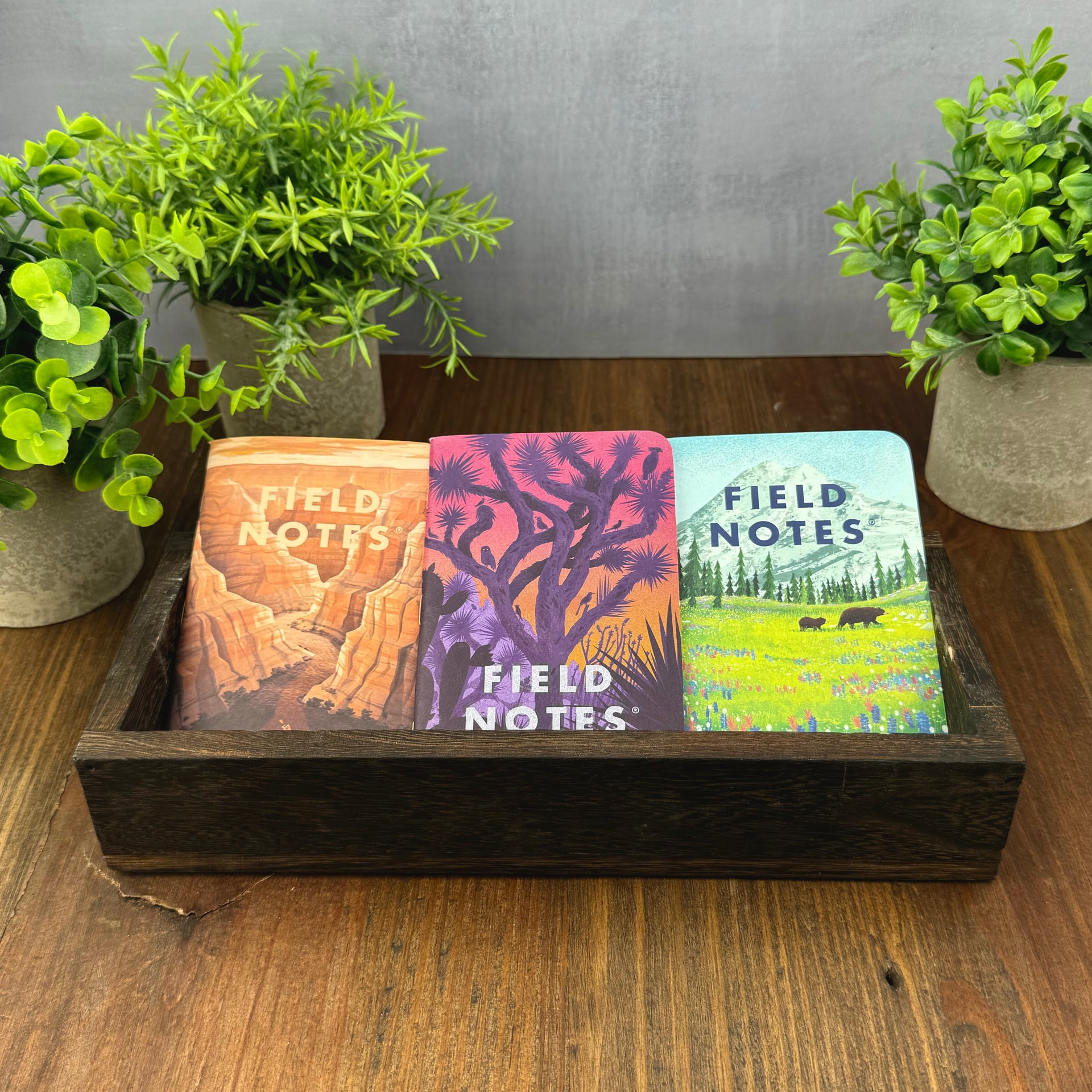 Field Notes National Parks Series B – Atlas Stationers