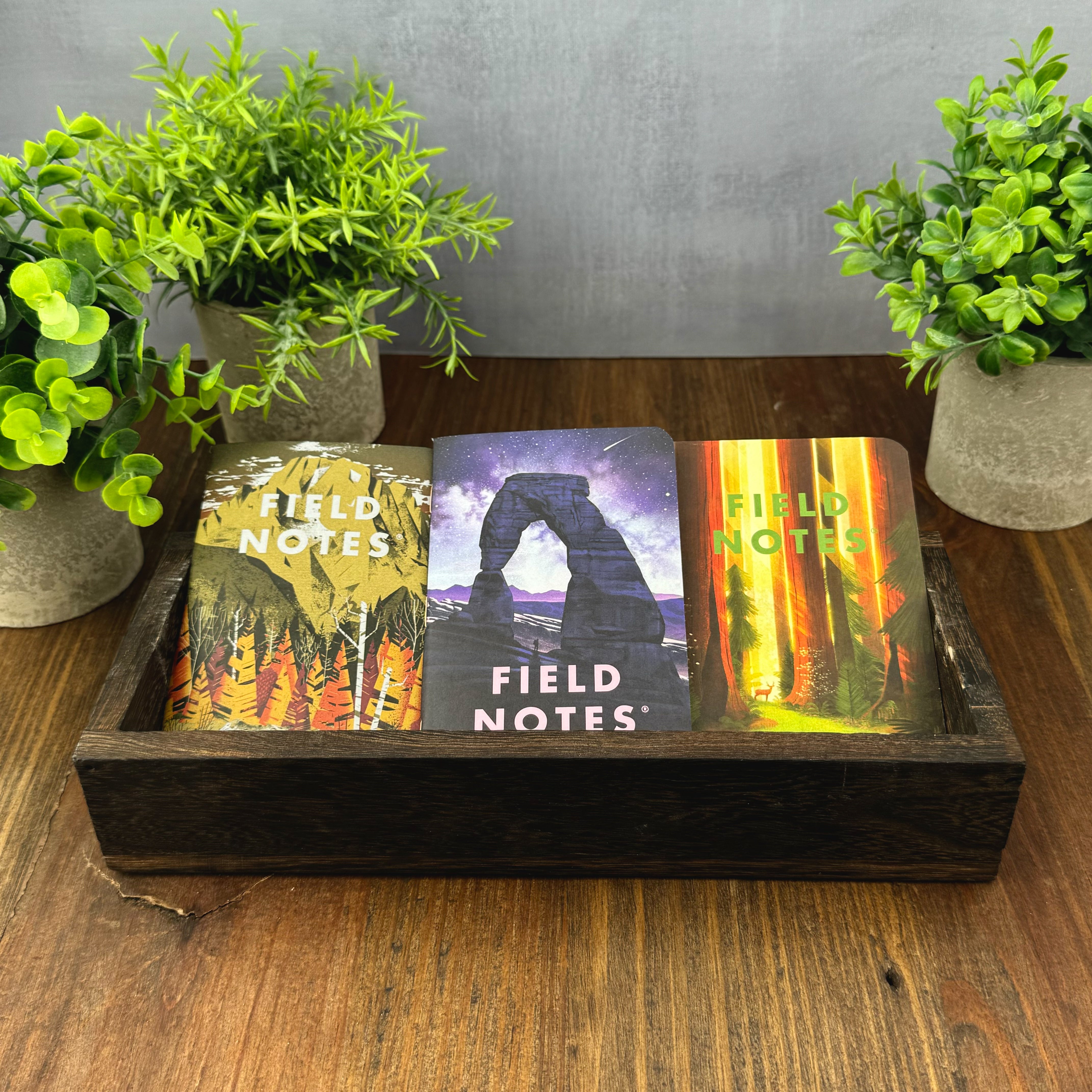 Field Notes National Parks Series D – Atlas Stationers