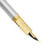 Ferris Wheel Press x Lord of The Rings Fountain Pen Set - Gandalf (Special Edition)