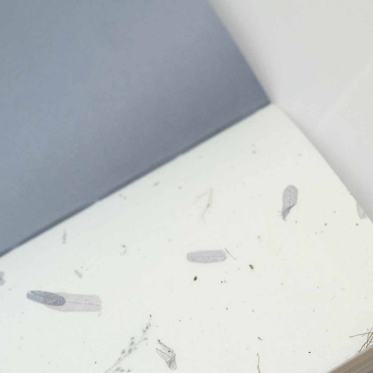 Haley Franker Design Pamphlet Notebook - Blank