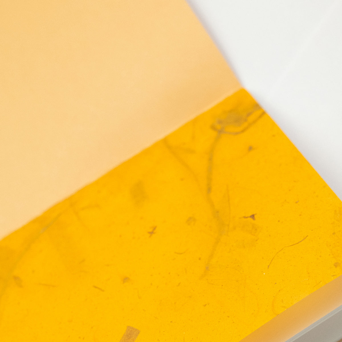 Haley Franker Design Pamphlet Notebook - Dotted