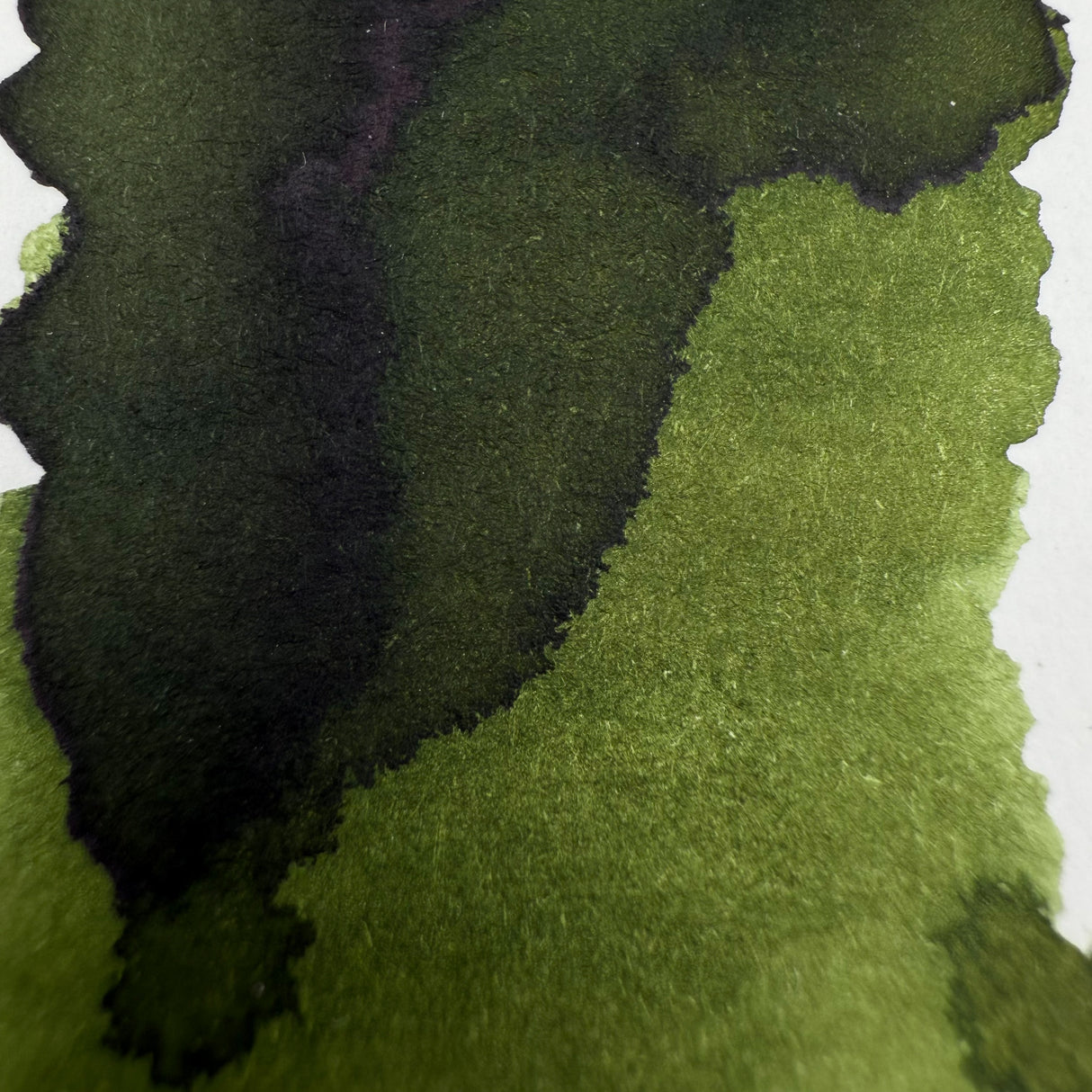 Ink Mazeru 18ml Bottled Ink - Varde Olivastro di Kagawa