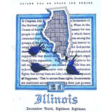 Sailor USA Illinois - 20ml Bottled Ink