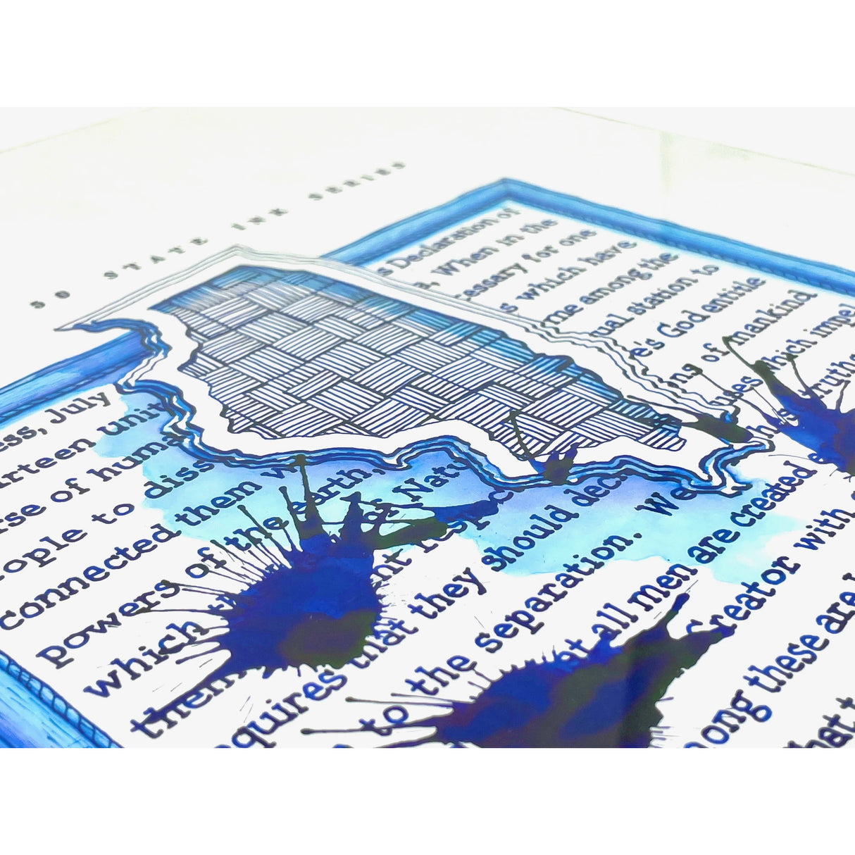 Sailor USA Illinois - 20ml Bottled Ink