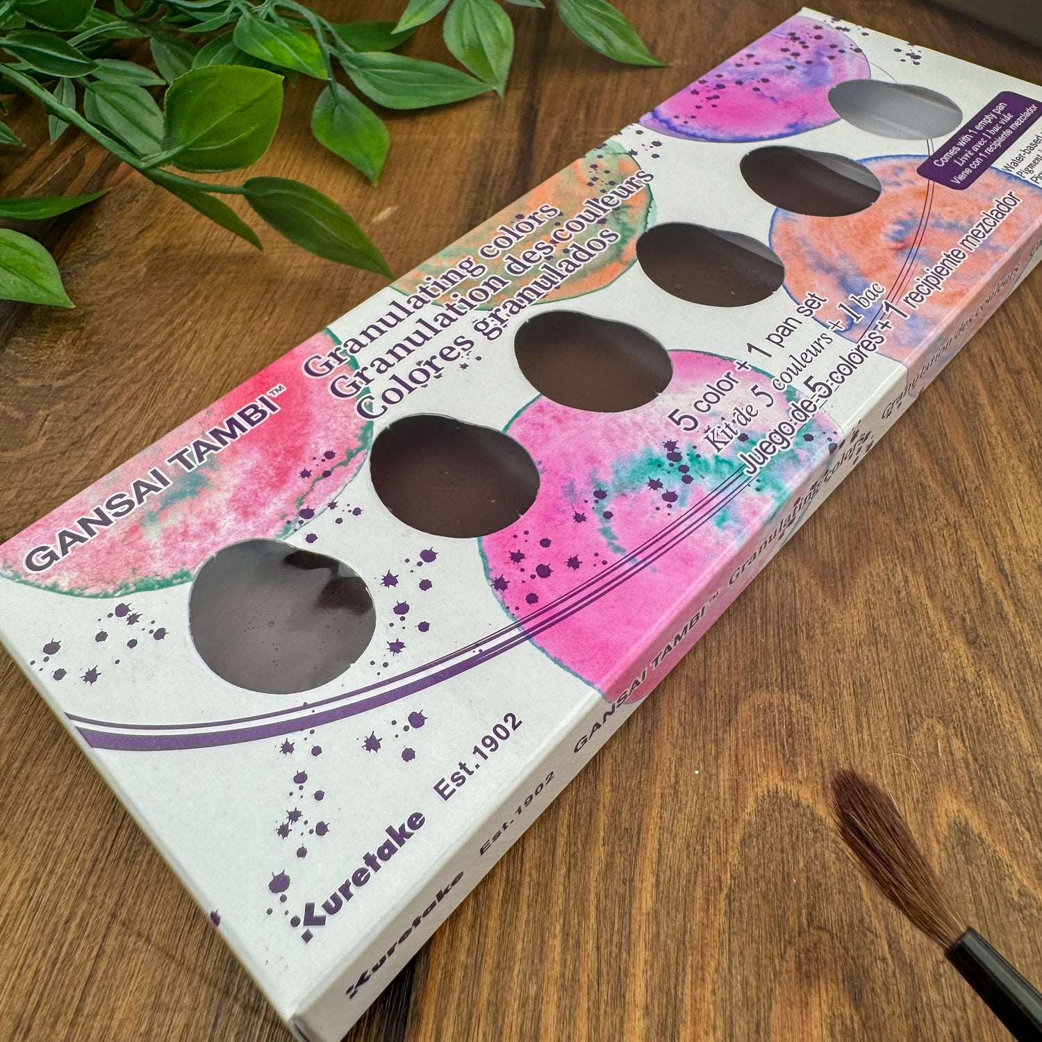 Kuretake Gansai Tambi 5 Color Set - Granulating