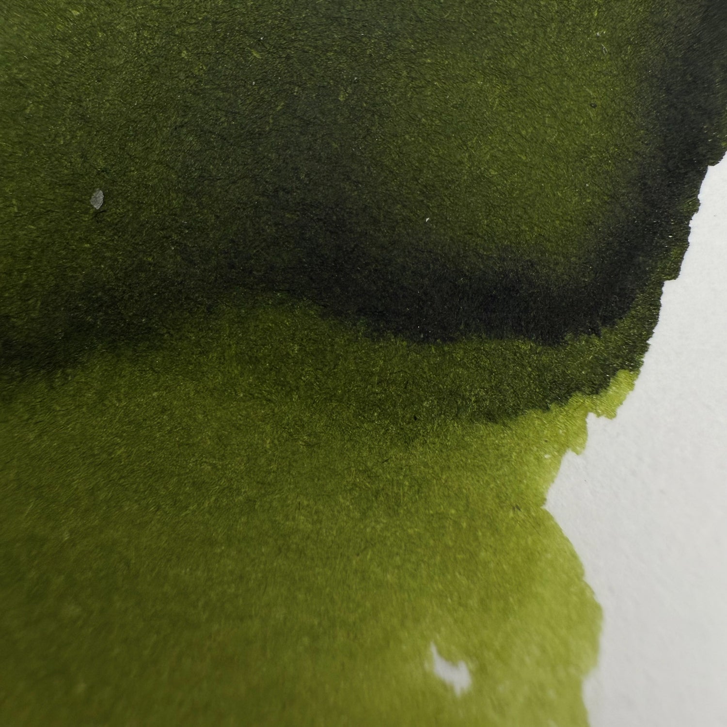 KWZ Green Gold #2 - 60ml Bottled Inks
