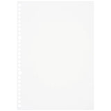 Maruman Loose Leaf Paper - Plain - B5