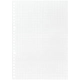 Maruman Loose Leaf Paper - Graph - B5