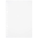 Maruman Loose Leaf Paper - Blank - A5