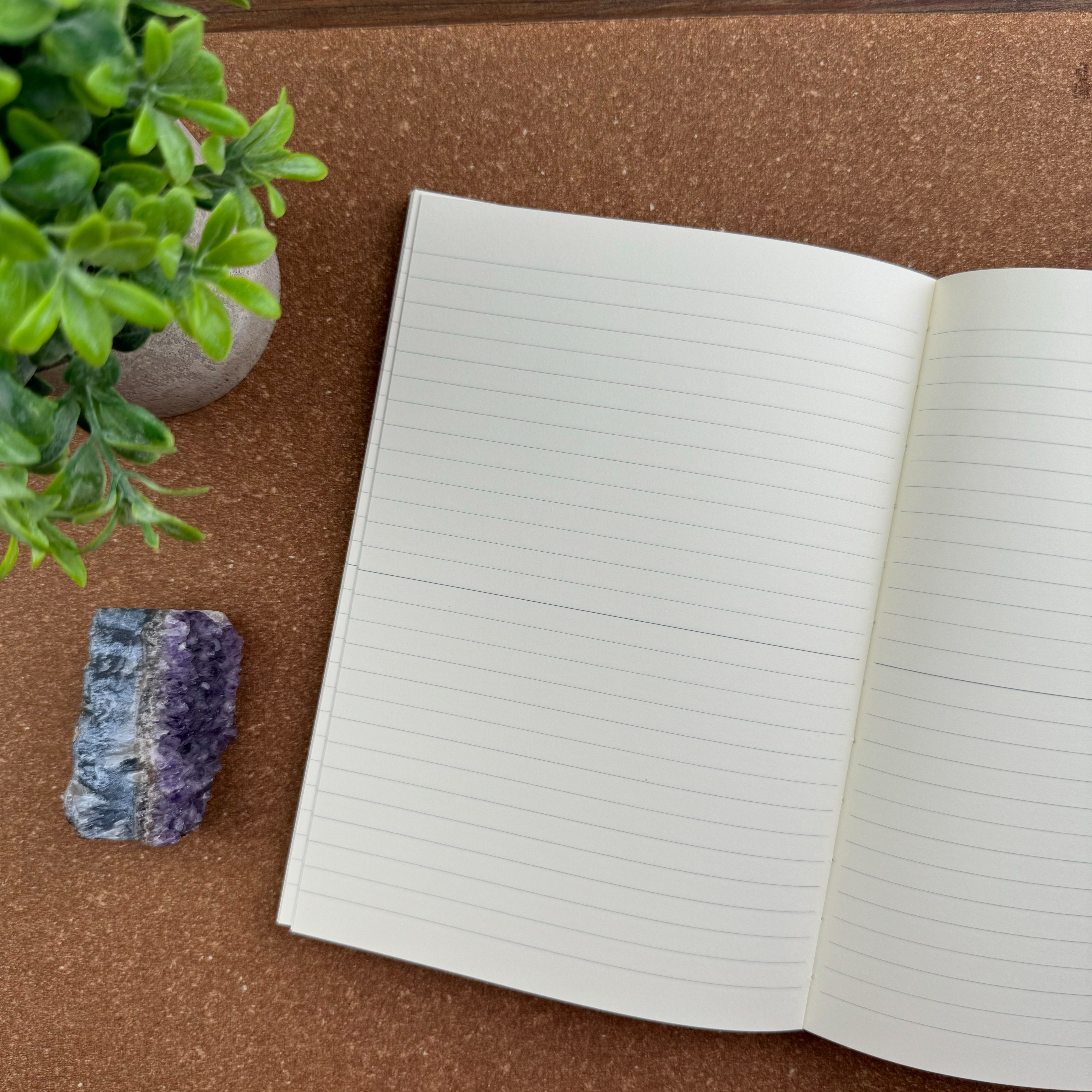 その他 midori Midori MD Notebook - Ruled - A5 – Atlas Stationers