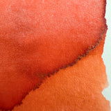 Monteverde DC Supershow 2025 Foxy - 30ml Bottled Ink