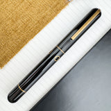 Nahvalur (Narwhal) Nautilus Fountain Pen - Bronze Corydoras