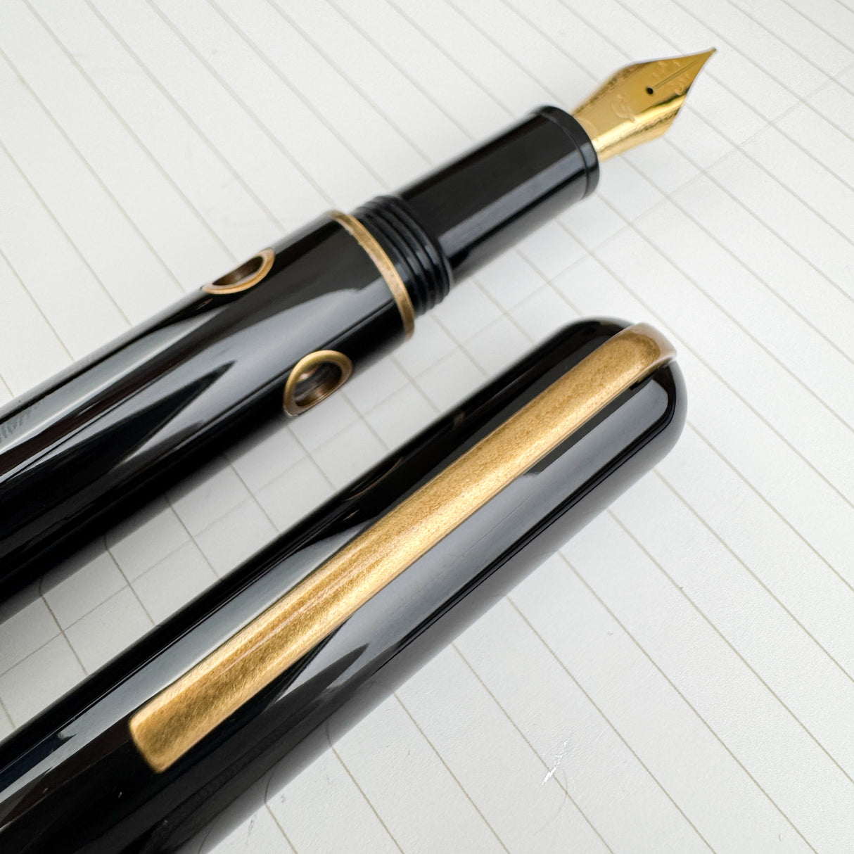 Nahvalur (Narwhal) Nautilus Fountain Pen - Bronze Corydoras