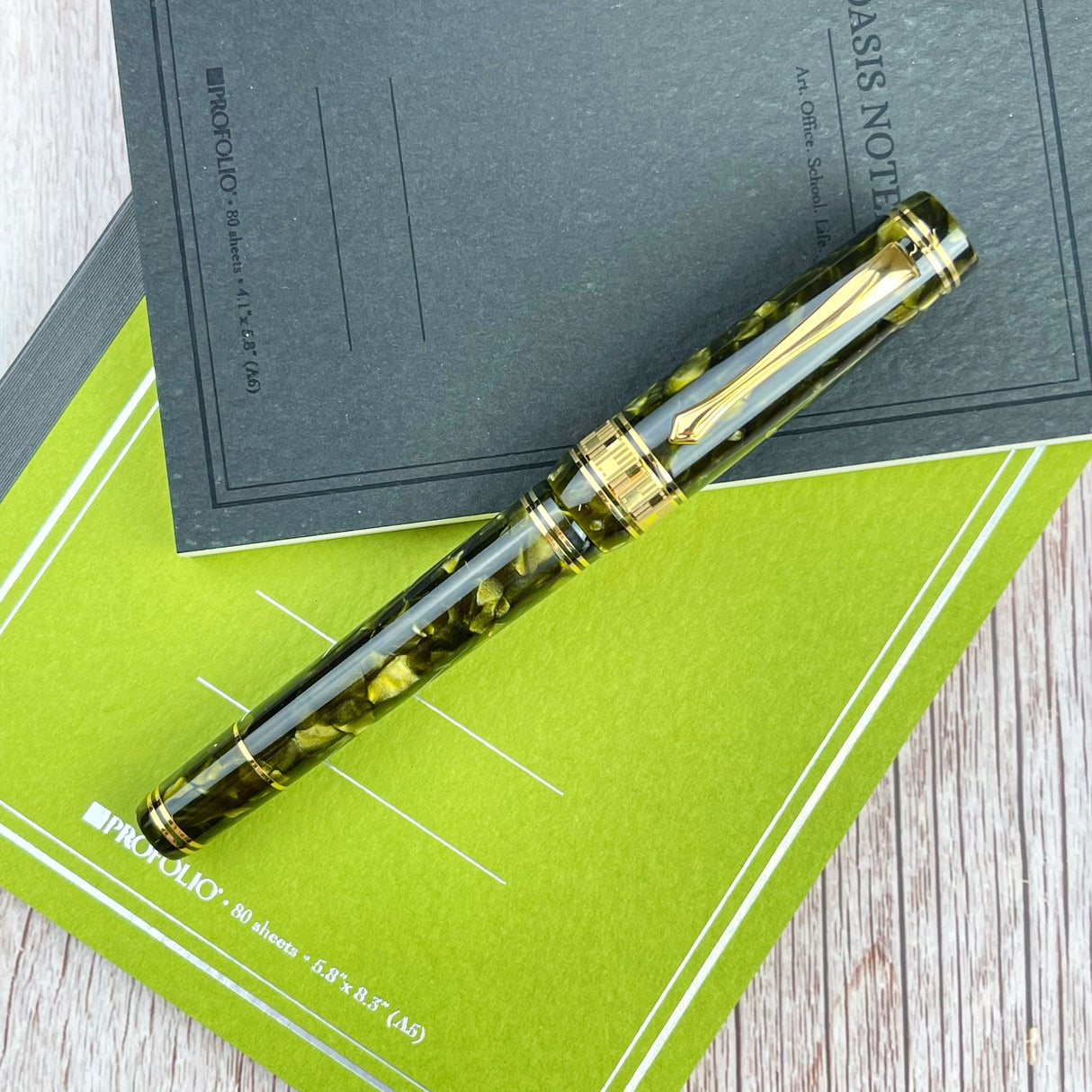 Nettuno Superba Fountain Pen w/ Gold Trim