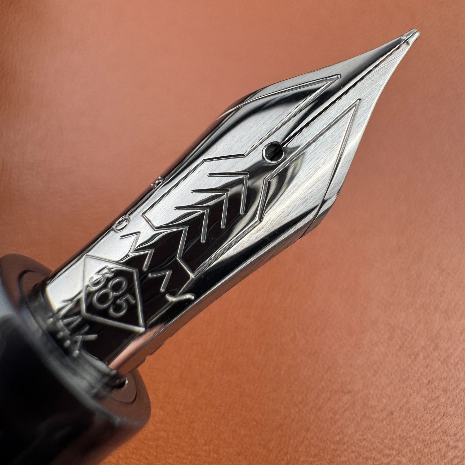 Omas Bologna Galassia Fountain Pen - Ruthenium Trim