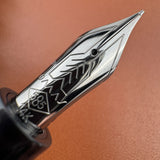 Omas Bologna Galassia Fountain Pen - Ruthenium Trim