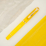 Pelikan Classic M200 Fountain Pen - Pyrite Gift Set (Special Edition)