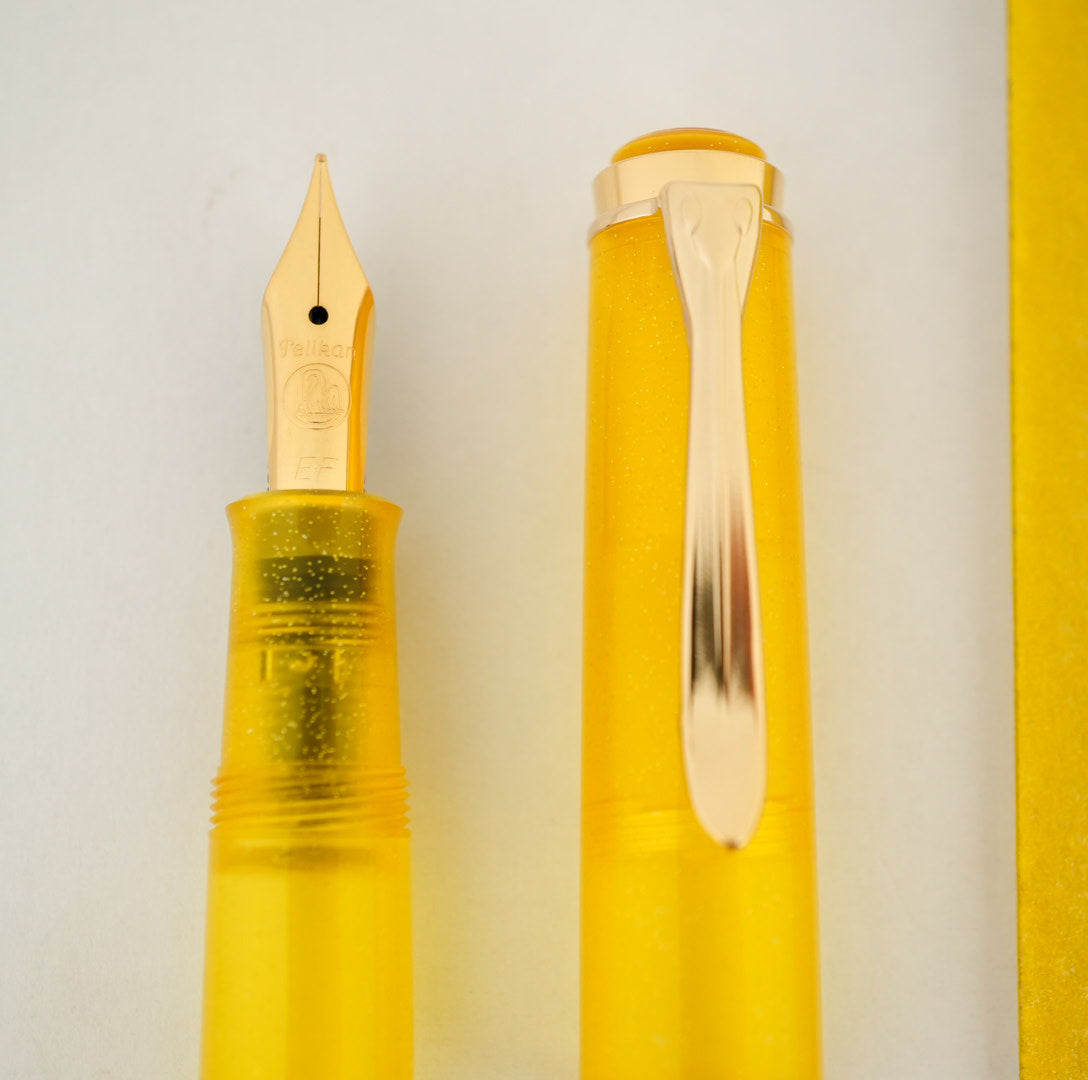 Pelikan Classic M200 Fountain Pen - Pyrite Gift Set (Special Edition)