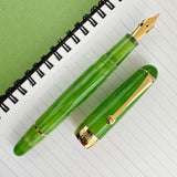 Penlux Masterpiece Delgado Fountain Pen - Kryptonite