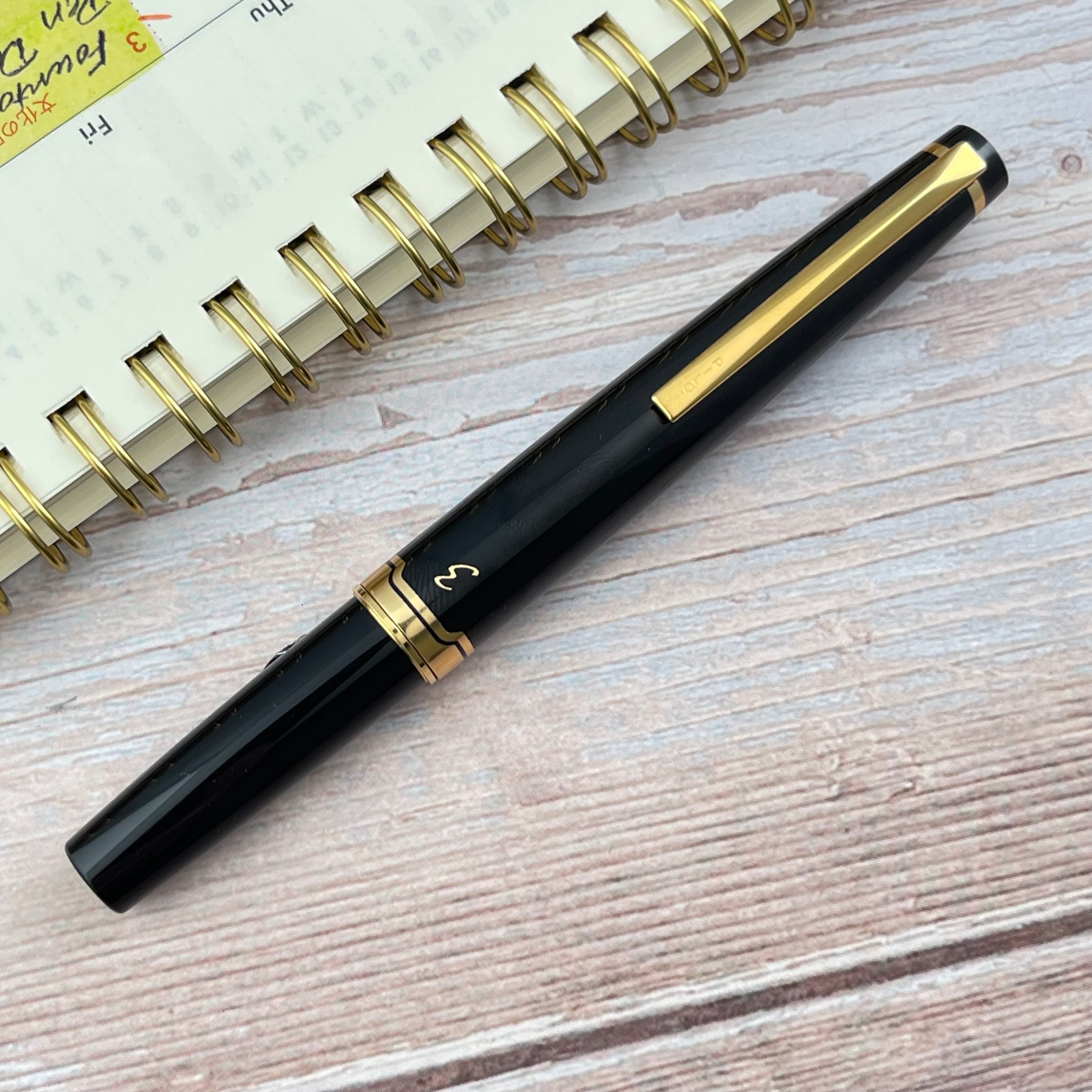Pilot E95s Fountain Pen - Black – Atlas Stationers