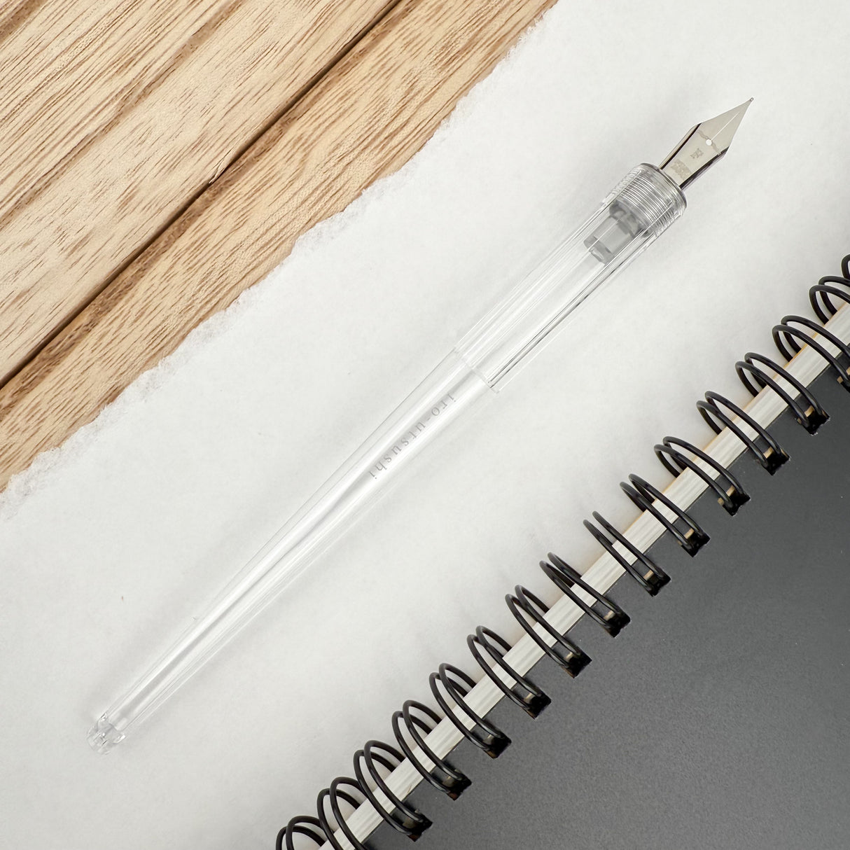 Pilot Iro-Utsushi Dip Pen - Clear