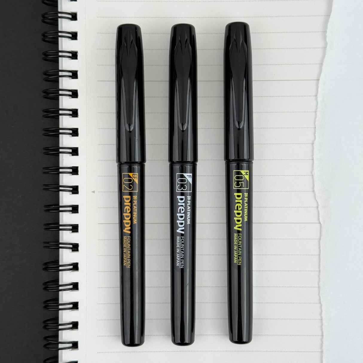 Platinum Preppy Fountain Pen - Black Series (Special Edition)